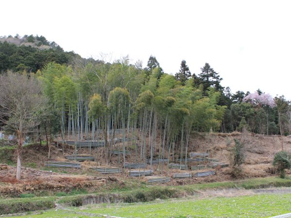 里山防災林整備　基本計画調査業務（夢前町 宮置）